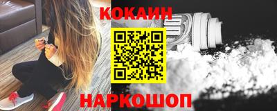 apvp Гатчина