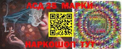 apvp Гатчина