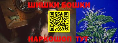 apvp Гатчина