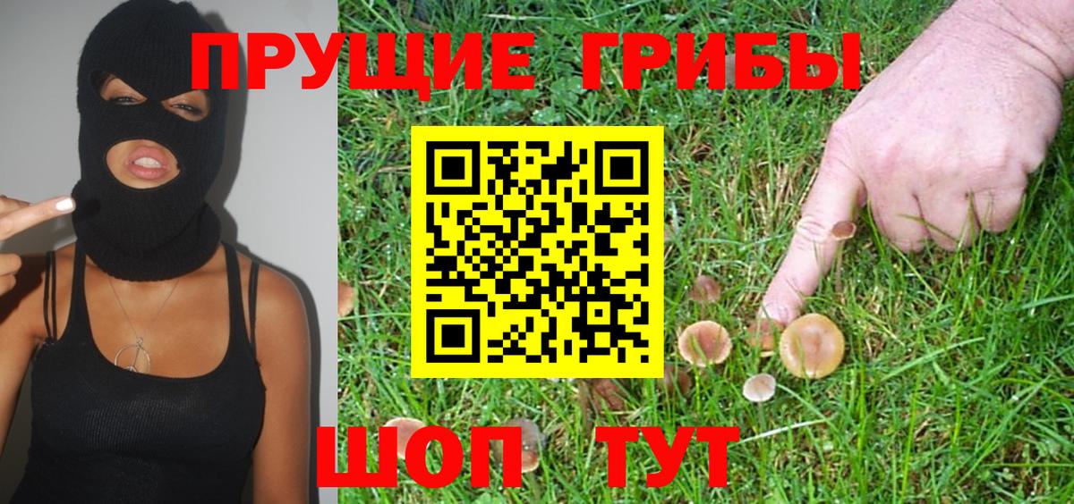 Псилоцибиновые грибы MAGIC MUSHROOMS Железноводск